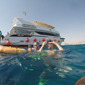 4-6 Hours Snorkeling Trip By Boat 50jd