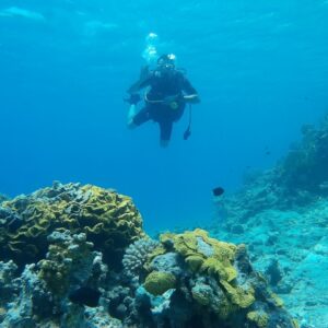 Discover Scuba Dive From Shore 45jd
