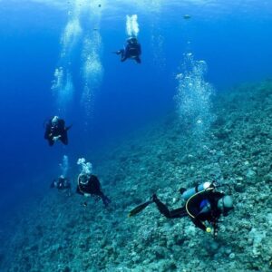 Discover Scuba Dive From Boat 80jd