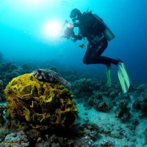 2 Hours Snorkeling From Shore 25jd